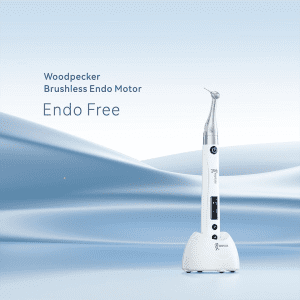 روتاری وودپیکر مدل ENDO FREE